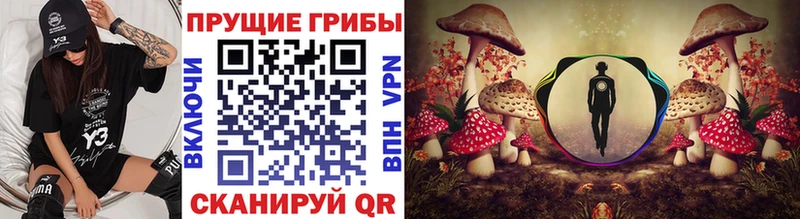 Псилоцибиновые грибы прущие грибы  Купить  Коммунар 